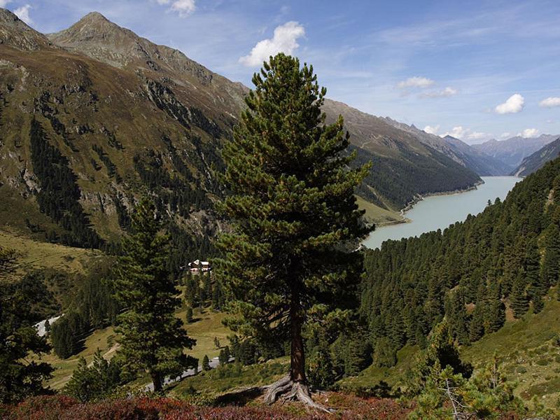 Plattnerhof Kaunertal Extérieur photo